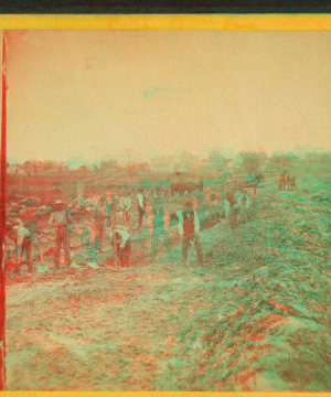 [Men at work digging a wide ditch.] 1865?-1903