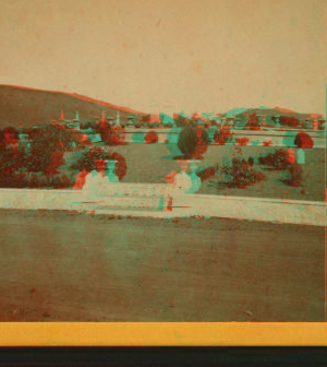 [View of a cemetery.] ca. 1875 1865?-1885?