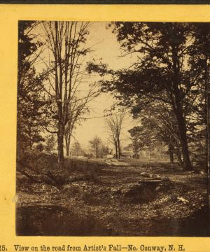 View on the Road from Artist's Fall, No. Conway, N.H. [1858-ca. 1875] 1859?-1895?