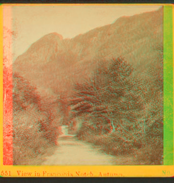 View in Franconia Notch, Autumn. 1865?-1890?