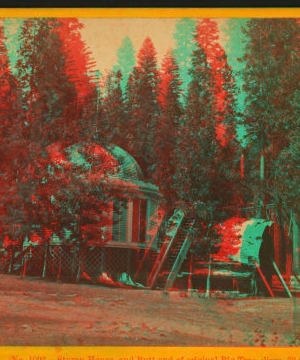 Stump House and butt-end of Original Big Tree, diam. 32 ft., Calaveras Co. ca. 1870 1870