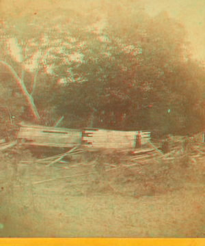 [Several men and women posed around collapsed clapboard structures adjacent to wooded area.] 1859?-1897