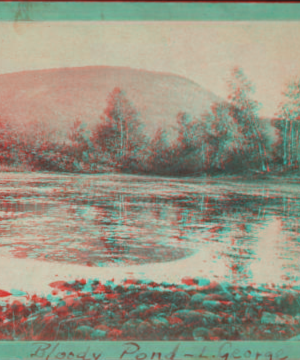 Bloody Pond, Lake George, N.Y. [1860?-1895?]