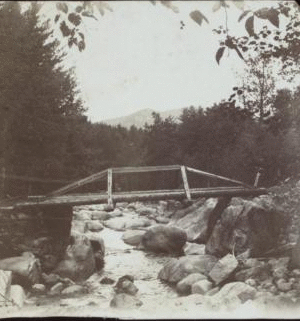 [Rustic Bridge with river below.] 1891-1896