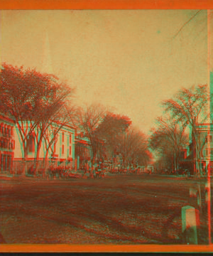 [View of a street with pedestrians and carriages.] 1865?-1885?