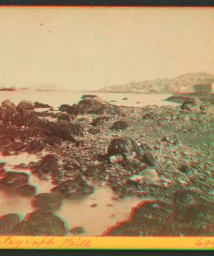 Telegraph Hill, [from Black Point.] 1861-1865 1858?-1906?