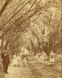 Willow road, Lanesville. 1858?-1890?