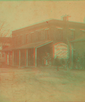 Street view, Warrenton, Ga. 1867?-1905? [ca. 1880?]