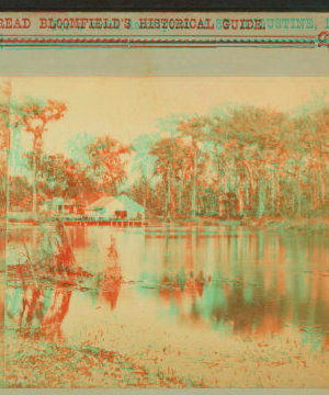 Silver Springs on the Oklawaha River. [ca. 1875] 1875?-1890?