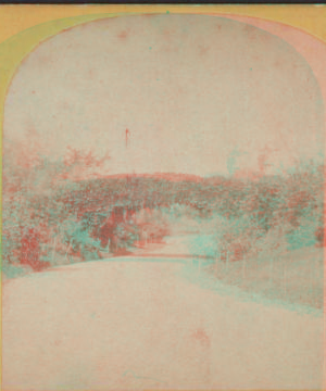 Arch over Bridle Road, south of playground, Central Park, N.Y. [1860?-1900?]