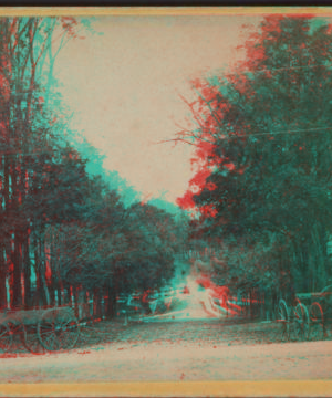 Mill Street, Cazenovia, N.Y. 1868?-1880?