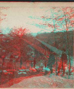 View looking south on the Trestle Bridge, at East Tarry Town, N.Y. on the New York, Boston & Montreal  Railway. [ca. 1873] [1865?-1915?]