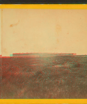 Fort Pulaski. 1867?-1905? [ca. 1875]