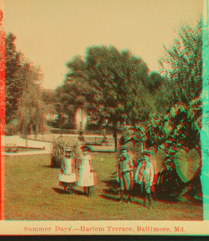 Summer days, Harlem Terrace. Baltimore, Md. 1865?-1885?