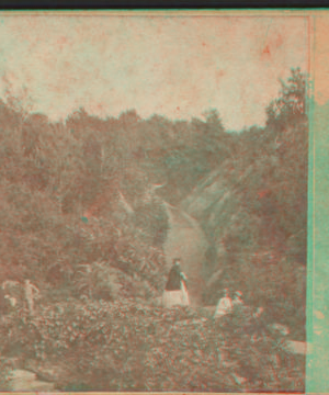 In the Ramble, approaching the cave. [ca. 1865] [1859?-1895?]