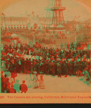 The Camels are coming, California Midwinter Exposition. 1894 1870?-1906