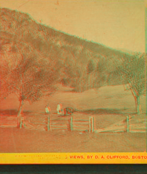 'Have this next,' on slope of Rattlesnake Mt., Rumney, N.H. 1869?-1890?