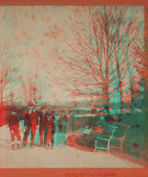 Group in Central Park. [1859?-1895?]