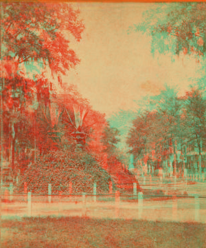 Section of Bull Street, Savannah, Ga. 1867?-1900? 1856-1908