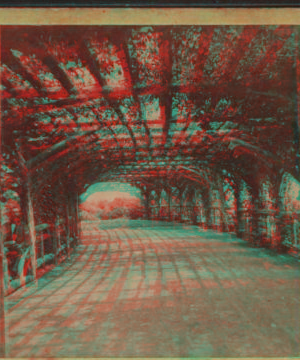 Prospect Park. Playground Arbor. [1870?-1890?]