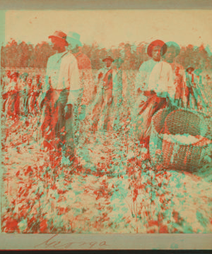 [Cotton pickers, Georgia.] [ca. 1885] 1867?-1905?