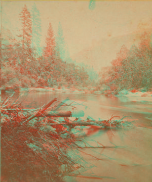 Yosemite Studies. 1868-1873