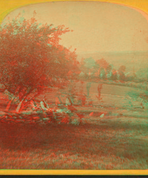 [Men sitting on a stone fence, farm in vicinity of Leominster.] 1869?-1885?