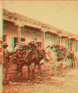 [Pack burros in Santa Fe.] 1870?-1885?