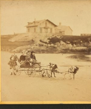 [Children in goat cart on beach.] 1860?-1869?