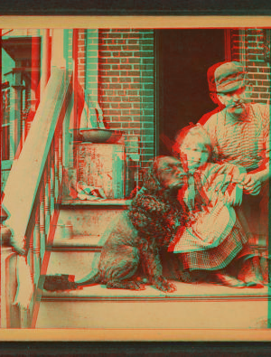 The famous dog ëRomeyí that saved the lives of three people, Mrs. Kress, child and domestic. 1889