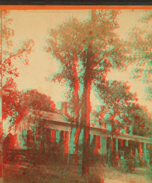 Front of Mrs Edgar's House -  "Hillside" 1859?-1900?