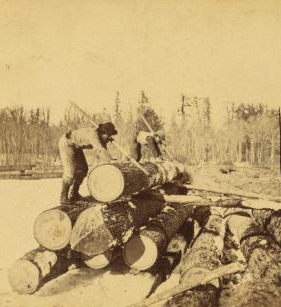 Pineries of Minnesota -- unloading. 1869?-1915?