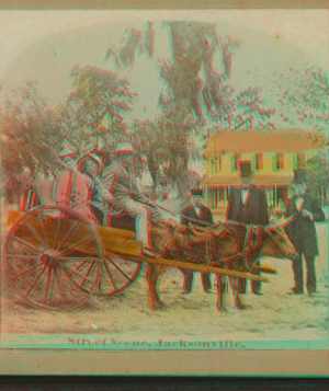 Street Scene, Jacksonville, Fla. [ca. 1880] 1870?-1906?