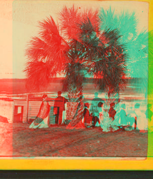 [Group under] Palmetto. 1867?-1905? [ca. 1870]