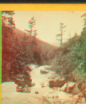 Below Glen Ellis Falls. 1859?-1865?