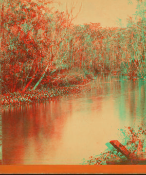 Oclawaha River, Florida. Graham's Landing, looking up. [ca. 1880] 1870?-1910?