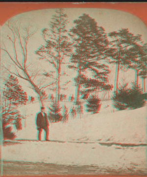 View on the mount. [1860?]-1896