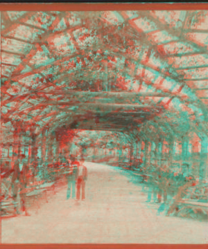 Interior of rustic arbor, Central Park. 1860?-1905?