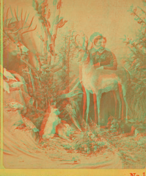 [Mrs. M. A. Maxwell and some of the animals in her "Rocky Mountain Museum.".] 1865?-1900?