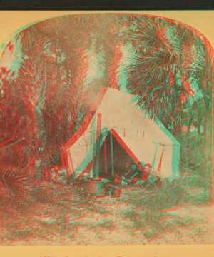 Camping in Palmetto Forest, Florida. 1870?-1905? [189-?]