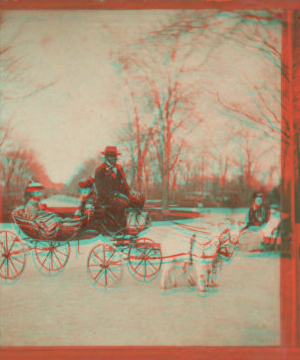 Children's carriage, Central Park. [1860?-1905?]