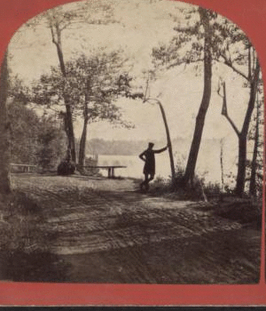 [Scene on Goat Island.] [1858?-1859?]
