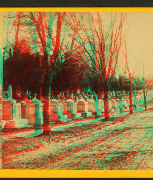 Congressional Cemetery. [186-] 1865?-1890?