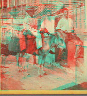 The Bread Vender, Porto Rico. [ca. 1865]