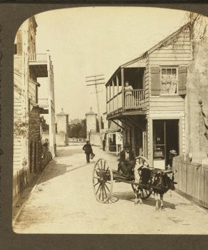 In old St. George street, N. to Spanich city gate. St. Augustine, Florida. 1868?-1905?