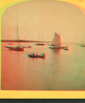 [View of boats in the harbor.] 1870?-1915?