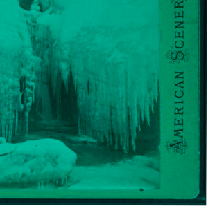 [Ice and snow hanging from trees.] [1860?-1885?]