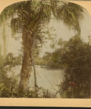 A Glimpse on the Suwanee River. 1870?-1895? [ca. 1895]