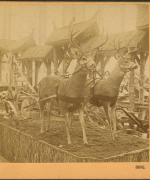 Deere & Co. exhibit, Columbian Exposition. [Showing deer pulling farm implements] 1893
