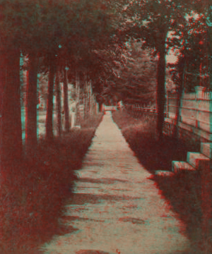 Walk in Gansevoot [i.e. Gansevoort] Street, Little Falls, N.Y. [1868?-1885?]